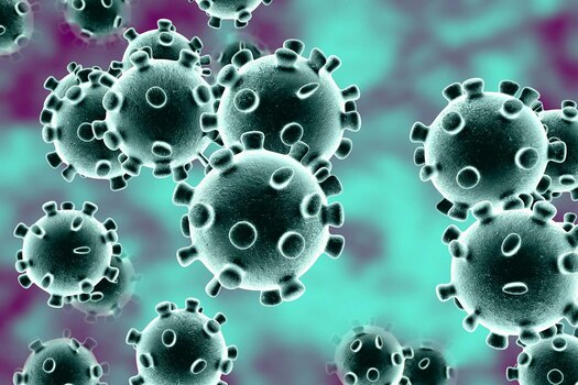 Corona Virus : India reports second death