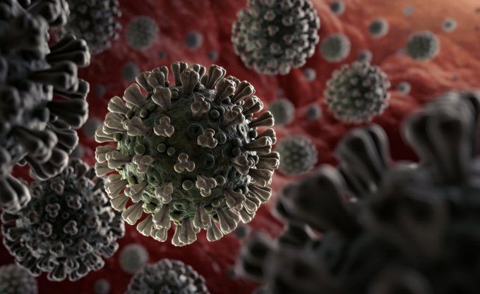 France’s coronavirus death toll tops 26,000